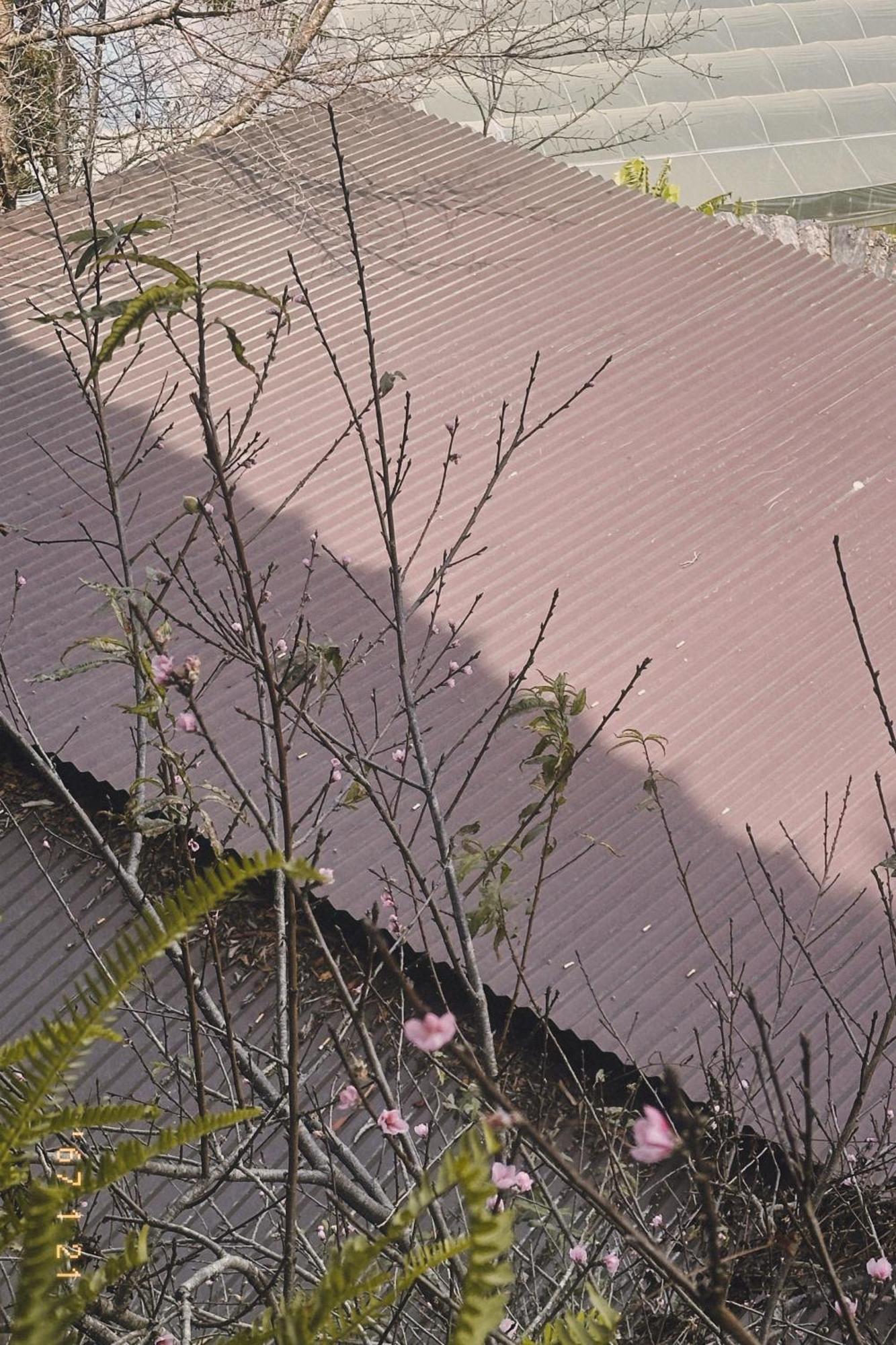 Hong Nhan Hotel Da Lat Kültér fotó